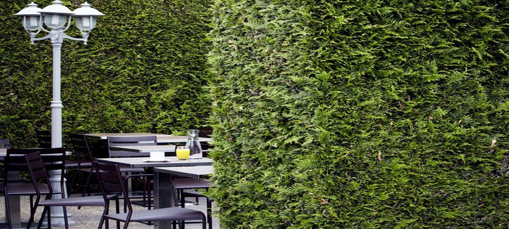 Hotel Campanile Grenoble Nord - Saint-Egreve Restaurante foto